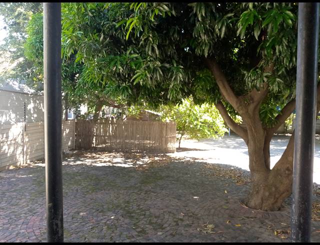 284M² BUSINESS FOR SALE IN BO-DORP